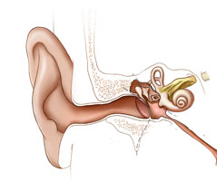 Kulak Akıntısı ve Orta Kulak İltihabı